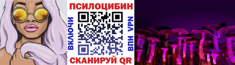 Псилоцибиновые грибы Psilocybe  Грязовец 